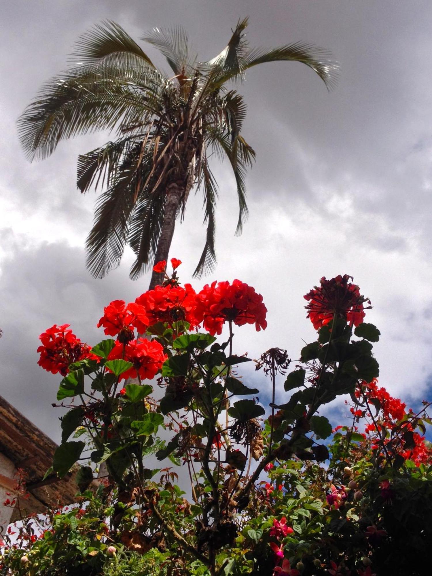 Casa Macondo Bed&Breakfast Cuenca Exterior foto